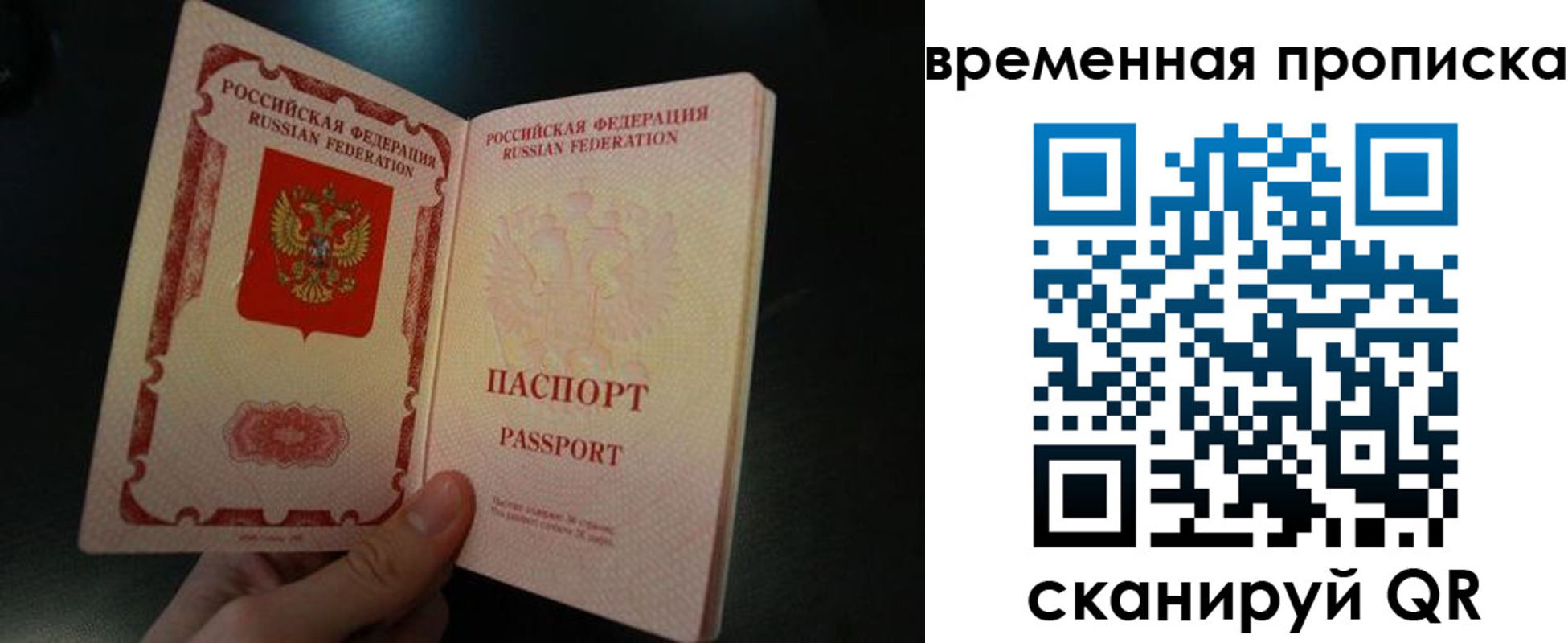 временная регистрация гарантия в Камызяке