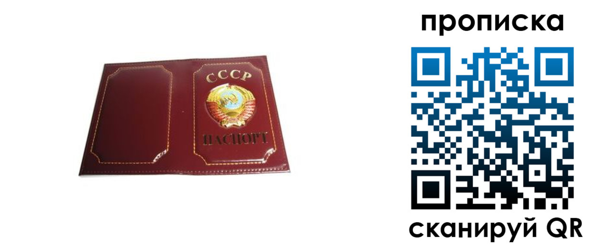 прописка гарантия в Камызяке